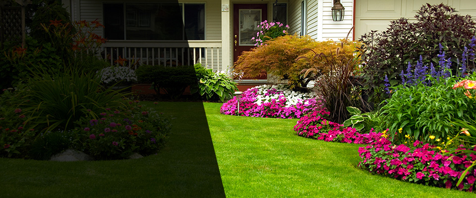 South Mills Landscapers
