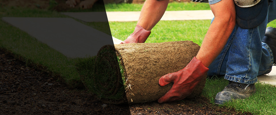 South Mills Landscapers